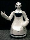 robot robina