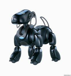 robot pies Aibo