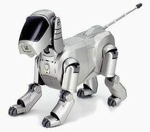 robot pies aibo