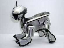 robot pies aibo