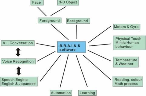 system BRAIN
