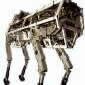 robot wojskowy Big Dog