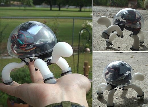Crabfu Tortoise robot