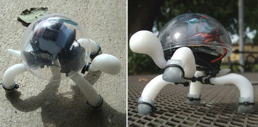 robot Tortoise