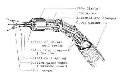 Elastor
