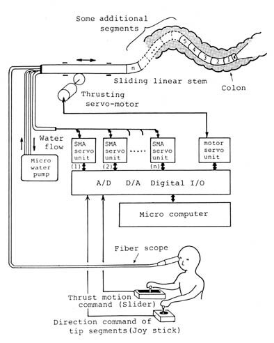 Elastor