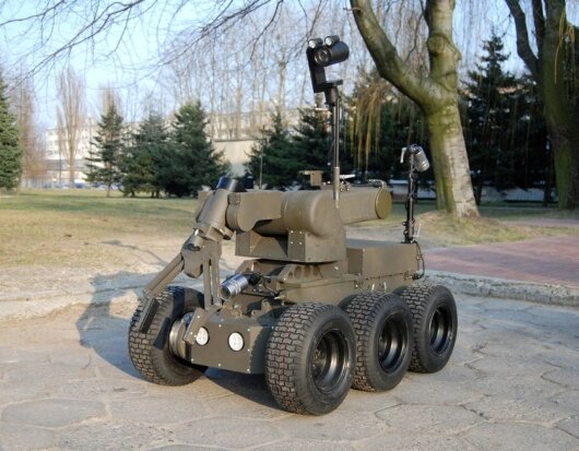 polski robot Ibis