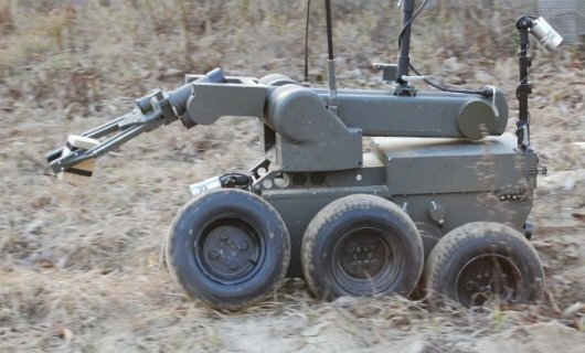 robot Ibis - PIAP