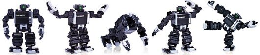 robot humanoidalny i-Sobot