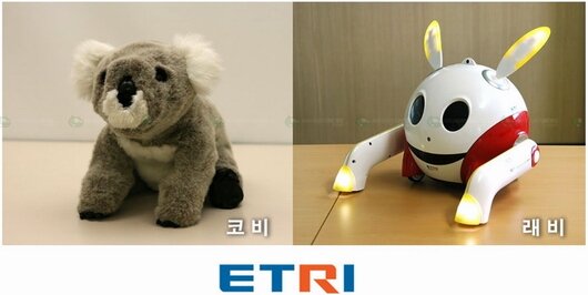 KOBIE i RABIE roboty