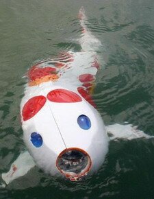 robot - karp