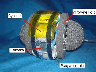 robot leg-in-rotor