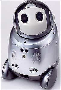interaktywny robot papero