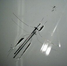 robot poruszajacy się po wodzie