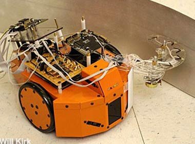 robot karaluch