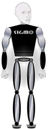robot sigmo, robotyka, roboty
