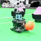 piłka nożna robotów