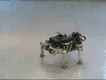 hybrydowy robot mobilny Roller Walker