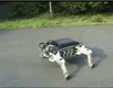 hybrydowy robot mobilny Roller Walker